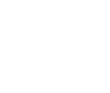 Bluefuture Logo