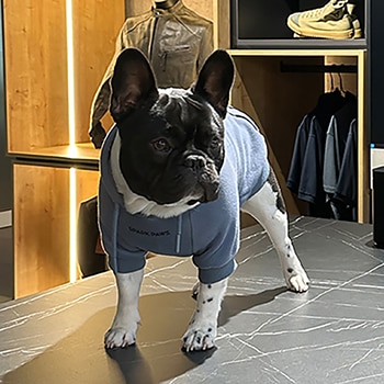 Person Vicomte von Helmuth de l'Idylle Sacrée